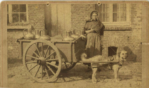 DELIVERING THE MILK