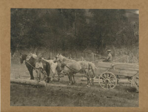 FOUR HORSE TEAM THE FOUR-HORSE TEAM 1910