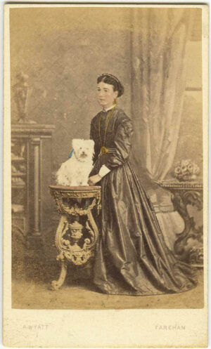 THE TERRIER