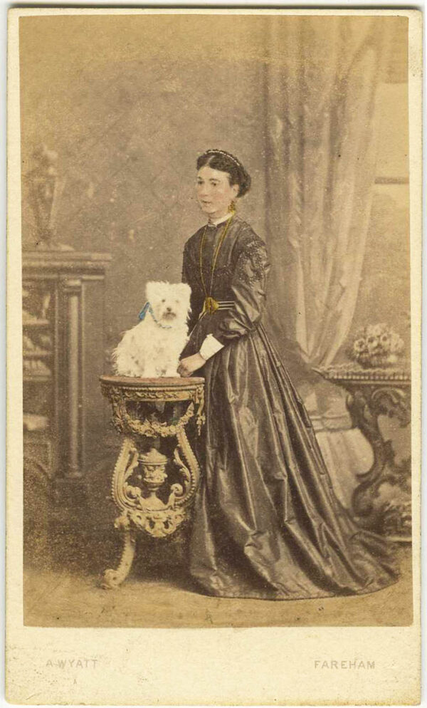 THE TERRIER