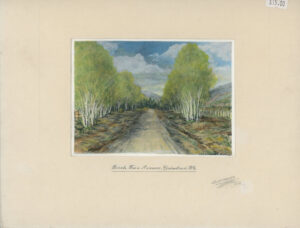 MEERES GRINDROD BIRCH TREE AVENUE, GRINDROD B.C. BY G.A. MEERES