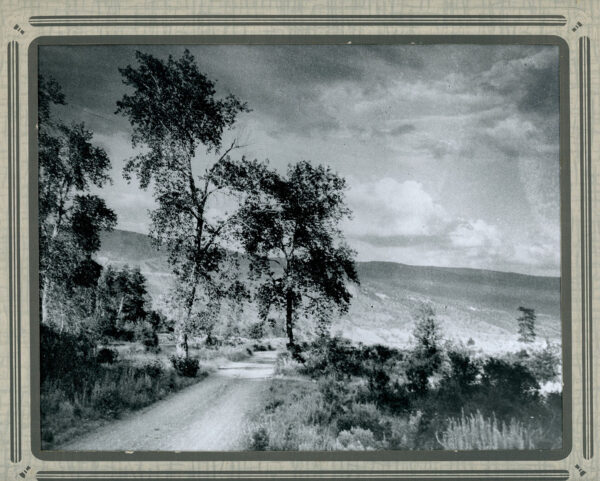 ART PHOTO BY LUMB STOCKS 1936