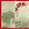 NARAMATA SUMMERLAND APPLEDALE AND NARAMATA LAND CO BROCHURE 1907