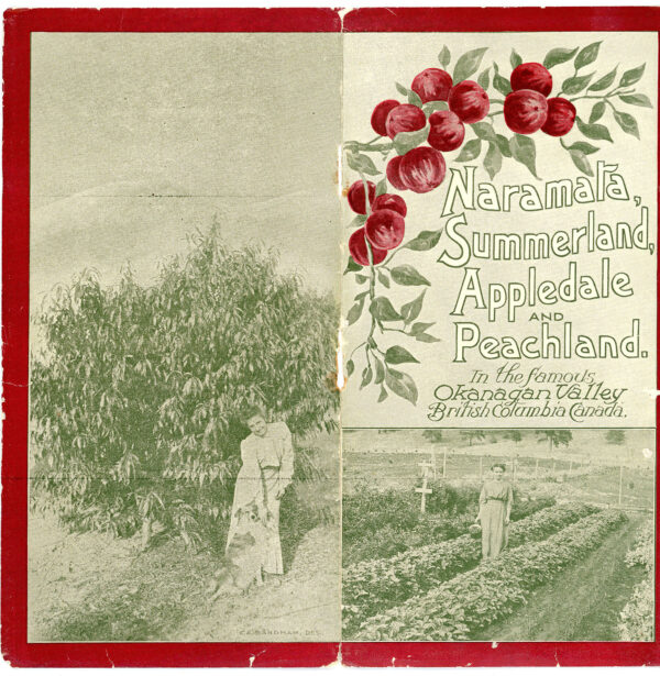 NARAMATA SUMMERLAND APPLEDALE AND NARAMATA LAND CO BROCHURE 1907