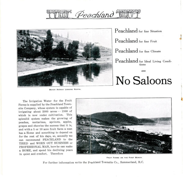 NARAMATA SUMMERLAND APPLEDALE AND NARAMATA LAND CO BROCHURE 1907